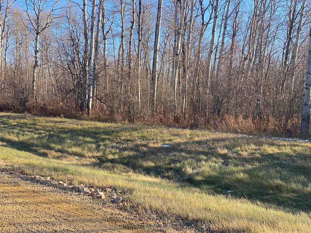 MLS&reg; # A2271799 -  223 Range  in NONE Rural Northern Lights, County of, Land Open Houses