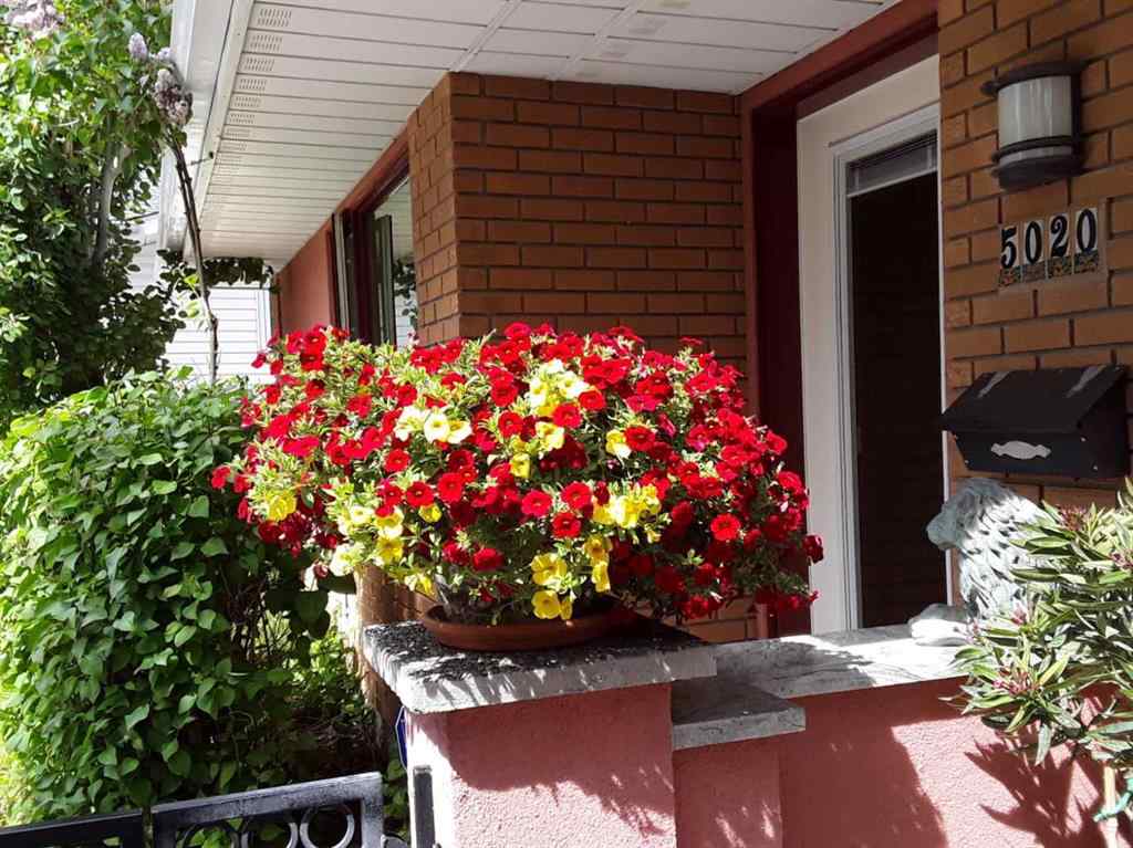 MLS&reg; # A2271834 - 5020 Nemiskam Road NW in North Haven Calgary, Residential Open Houses