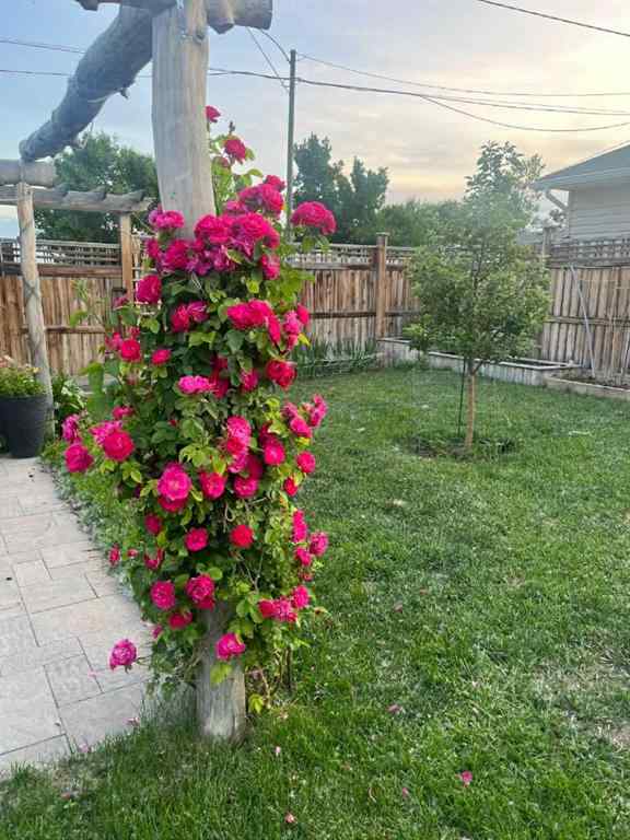 MLS&reg; # A2271867 - 248 Crescent Avenue N in NONE Picture Butte, Residential Open Houses