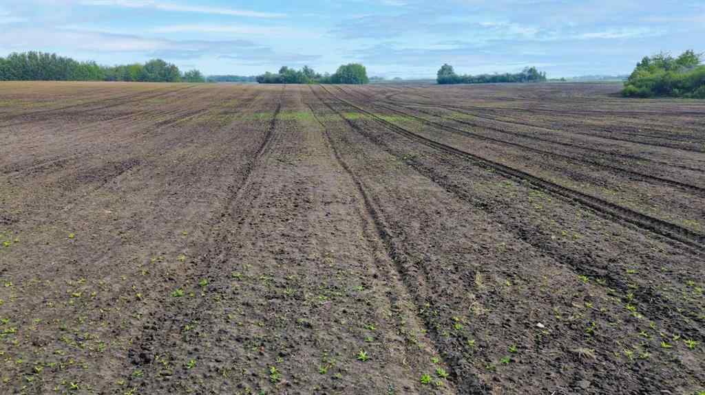 MLS&reg; # A2271888 -  SE 6-53-25-3 Ext 2   in NONE Rural, Agri-Business Open Houses