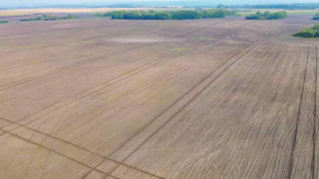 MLS&reg; # A2271888 -  SE 6-53-25-3 Ext 2   in NONE Rural, Agri-Business Open Houses