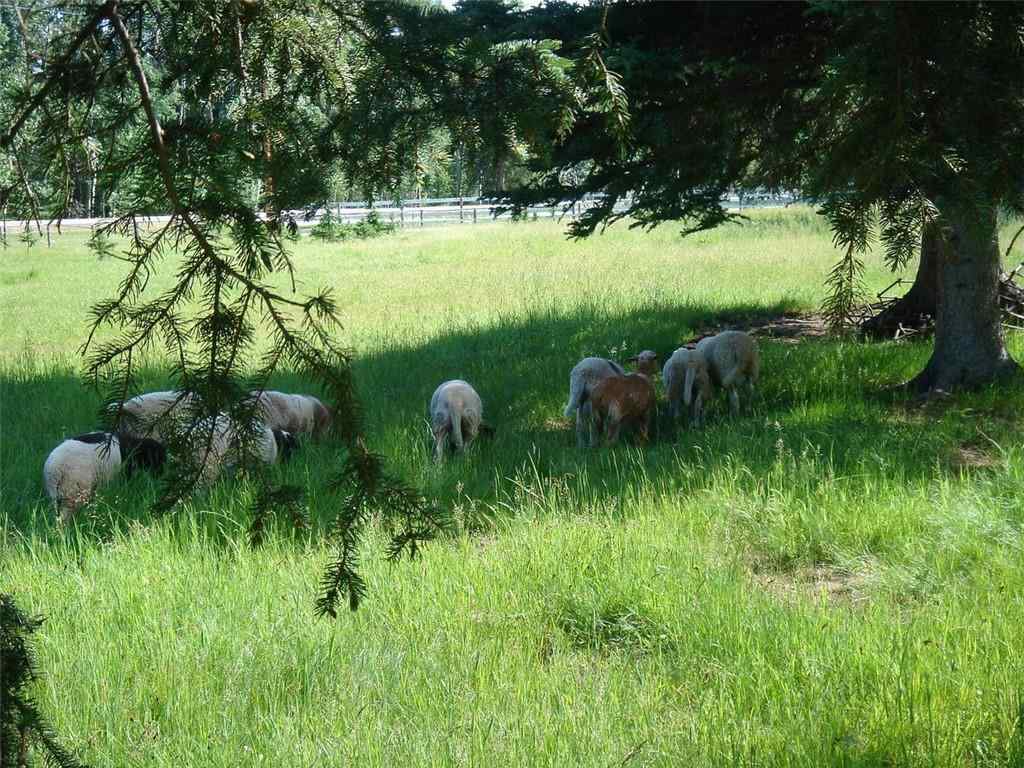 MLS® C4290335 - 215 Wintergreen Road  in Wintergreen Rural Rocky View County, Land