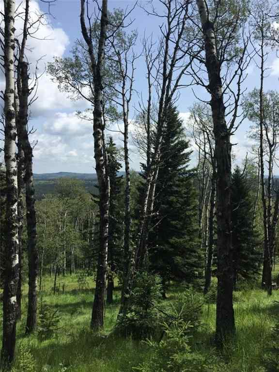 MLS® C4290335 - 215 Wintergreen Road  in Wintergreen Rural Rocky View County, Land