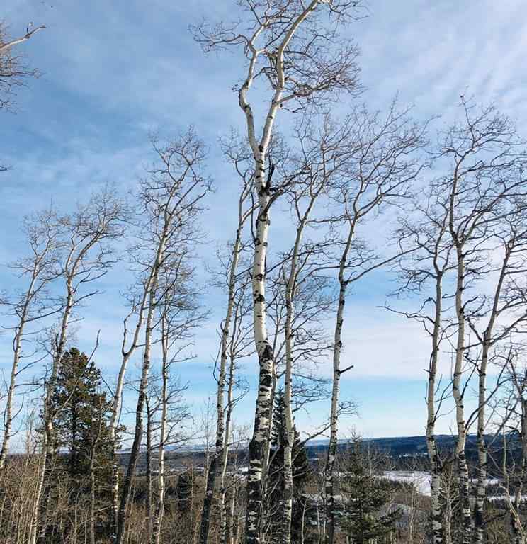MLS® C4290335 - 215 Wintergreen Road  in Wintergreen Rural Rocky View County, Land