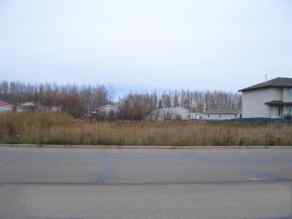Just listed NONE homes for sale new 10820 100 Avenue  in NONE High Level