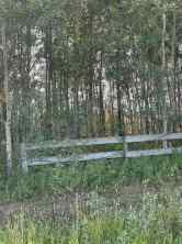 Just listed NONE homes for sale new  Chinook Valley Road   in NONE Rural Northern Lights, County of