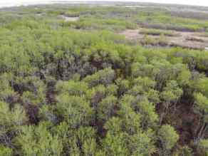 Just listed NONE homes for sale new 25 450031 73 Range  in NONE Rural Wainwright No. 61, M.D. of