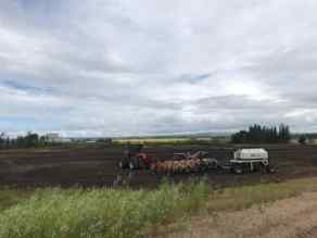 Just listed NONE homes for sale new 9001 90 Street  in NONE Sexsmith