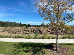 Residential Land Sylvan Lake homes