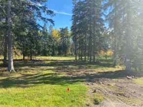Just listed Diamond Willow Estates homes for sale new 201 High Timber Place  in Diamond Willow Estates Rural Clearwater County