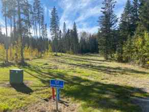 Residential Land Rural Clearwater County homes