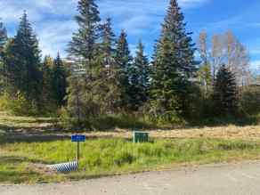 Residential Land Rural Clearwater County homes