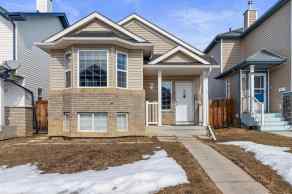  Just listed Calgary Homes for sale for 133 saddlefield Crescent NE in  Calgary 