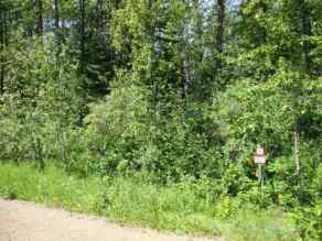 Just listed NONE Homes for sale Parcel D MARIE HANSON RD   in NONE Brightsand Lake 
