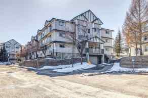  Just listed Calgary Homes for sale for 207, 11 Somervale View SW in  Calgary 