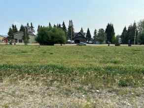 Just listed NONE Homes for sale NE25-53-19-W3 Lot 5 - 16   in NONE Turtle Lake 