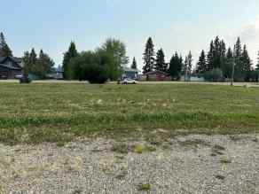 Just listed NONE Homes for sale NE25-53-19-W3 Lot 6 - 16   in NONE Turtle Lake 