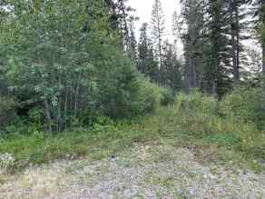 Just listed NONE Homes for sale NE25-53-26-W3 Lot 10 - 17   in NONE Turtle Lake 