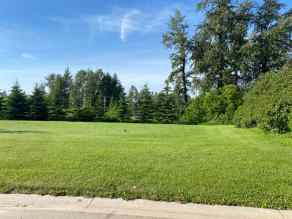 Just listed NONE homes for sale new 201 3A Street NE in NONE Slave Lake