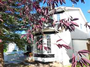  Just listed Calgary Homes for sale for 214 Mt Lorette Close SE in  Calgary 
