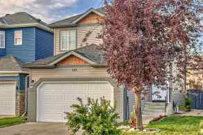  Just listed Calgary Homes for sale for 125 Saddlecreek Point NE in  Calgary 