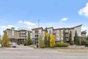 Apartment Northwest Calgary Real Estate