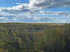 Just listed NONE Homes for sale NE& SE-31-57-10-W5 township road 580 Land  in NONE Whitecourt 