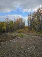 Just listed NONE Homes for sale Lot 16 Range Road 14   in NONE Rimbey 