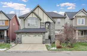  Just listed Calgary Homes for sale for 29 Auburn Sound Green SE in  Calgary 