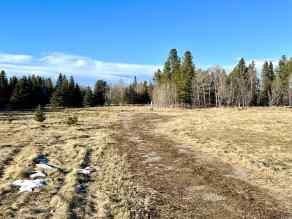 Just listed Pine Ridge Estates Homes for sale 80014A OLD Highway 11A   in Pine Ridge Estates Rural Clearwater County 