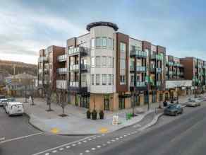  Just listed Calgary Homes for sale for 209, 1899 45 Street NW in  Calgary 