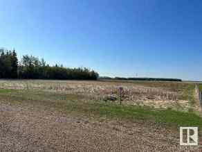 Just listed NONE Homes for sale RR 281 Hwy 39   in NONE Thorsby 