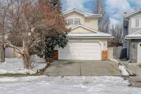 Just listed  Homes for sale 537 Douglas Woods Place SE in  Calgary 