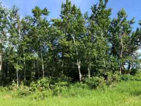 Just listed NONE Homes for sale Lot 10 Campsite Road   in NONE Plamondon 