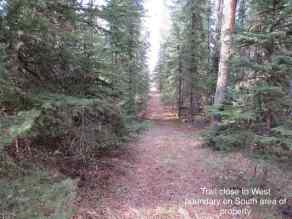 Just listed Pine Ridge Estates Homes for sale  Pine Ridge Drive  in Pine Ridge Estates Rural Clearwater County 