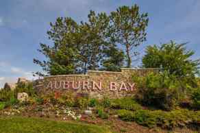 Just listed Auburn Bay Homes for sale 170 Autumn Circle SE in Auburn Bay Calgary 