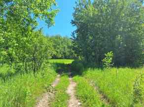 Residential Land Rural Lac La Biche County homes