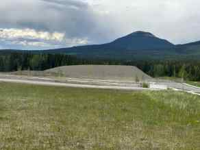 Commercial Land Nordegg homes