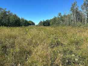 Just listed NONE homes for sale new  Juda Road  in NONE Rural Northern Sunrise County