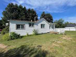 Just listed Mannville homes for sale new 4631 51 Street  in Mannville Mannville