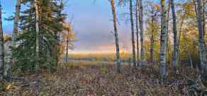 Just listed NONE homes for sale new  92 Range  in NONE Rural Saddle Hills County