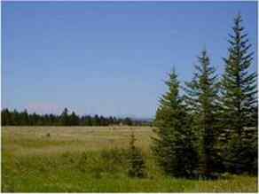 Just listed NONE homes for sale new  Range Road 55   in NONE Rural Mountain View County