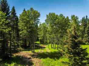 Just listed Watervalley homes for sale new  Water Valley   in Watervalley Rural Mountain View County