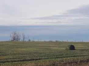 Commercial Land Crossroads South homes
