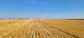 Commercial Land Ryley homes