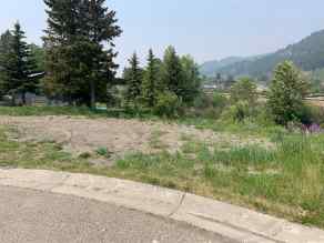 Just listed NONE homes for sale new 13537 19 Avenue  in NONE Blairmore