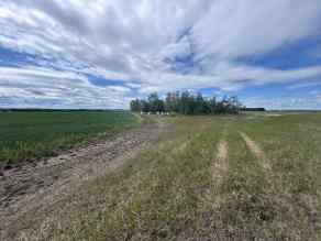 Residential Land Rural Grande Prairie No. 1, County of homes