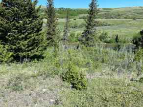 Residential Land Rural Pincher Creek No. 9, M.D. of homes