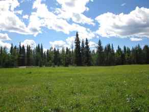 Just listed Boundary homes for sale new 48 BOUNDARY   in Boundary Rural Clearwater County
