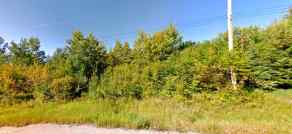 Residential Land Rural Lac La Biche County homes
